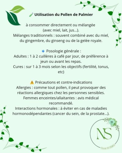 Pollen de palmier – Image 2