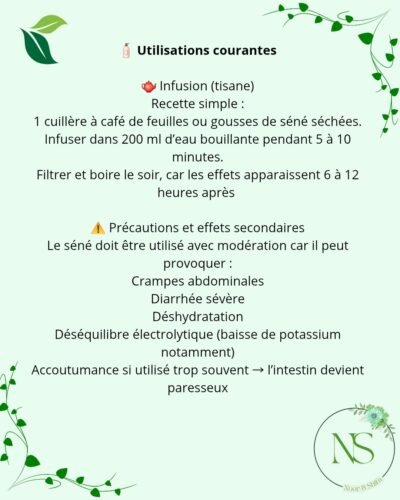 Feuilles de séné – Image 2