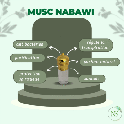 Musc nabawi