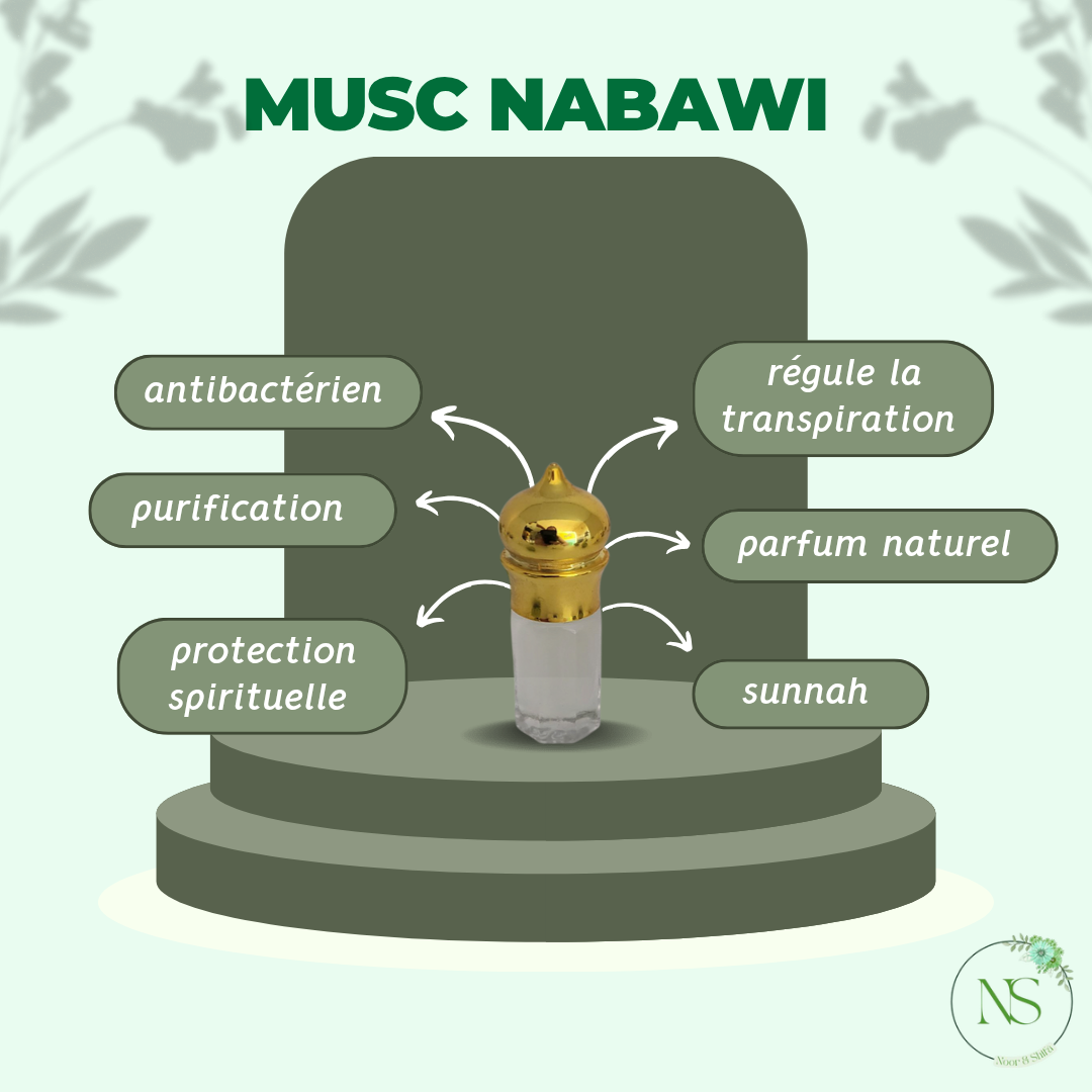 Musc nabawi