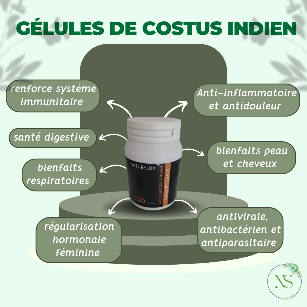 Gélules de costus indien