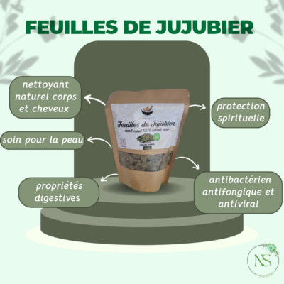 Feuilles de jujubier (sidr)