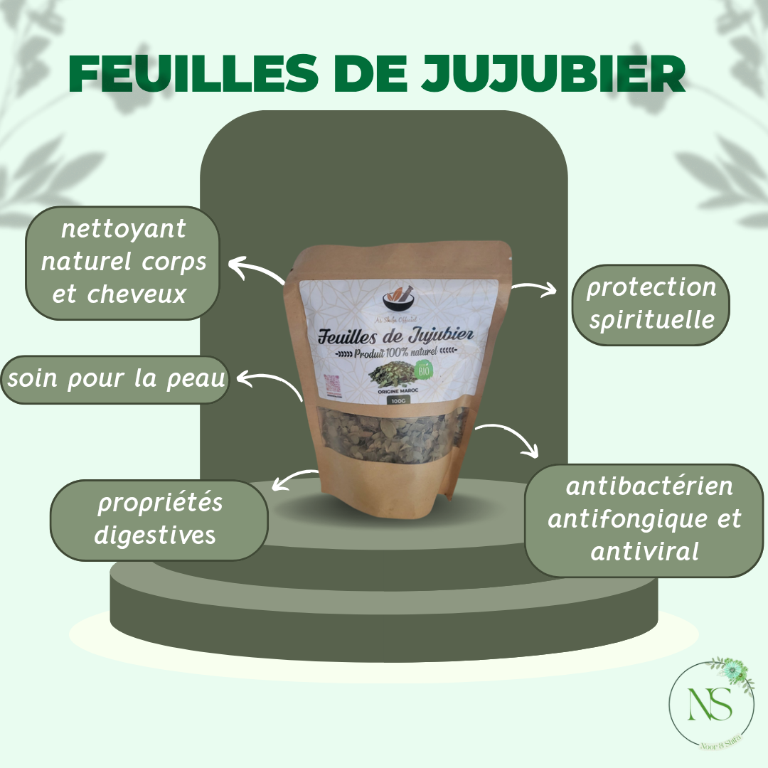 Feuilles de jujubier (sidr)