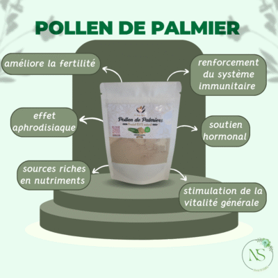 Pollen de palmier