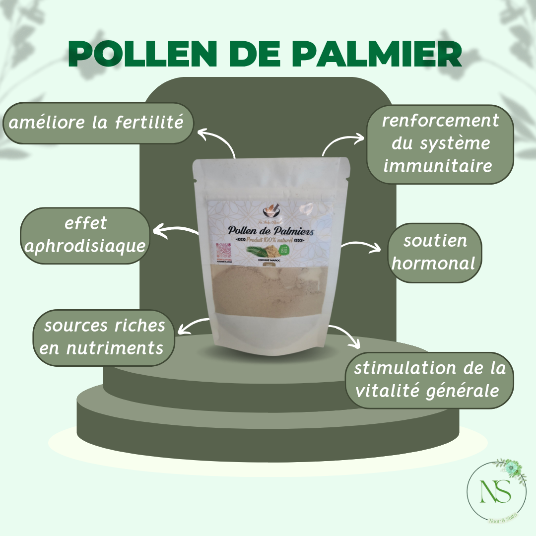 Pollen de palmier