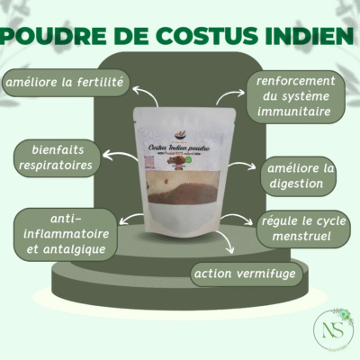 Costus indien