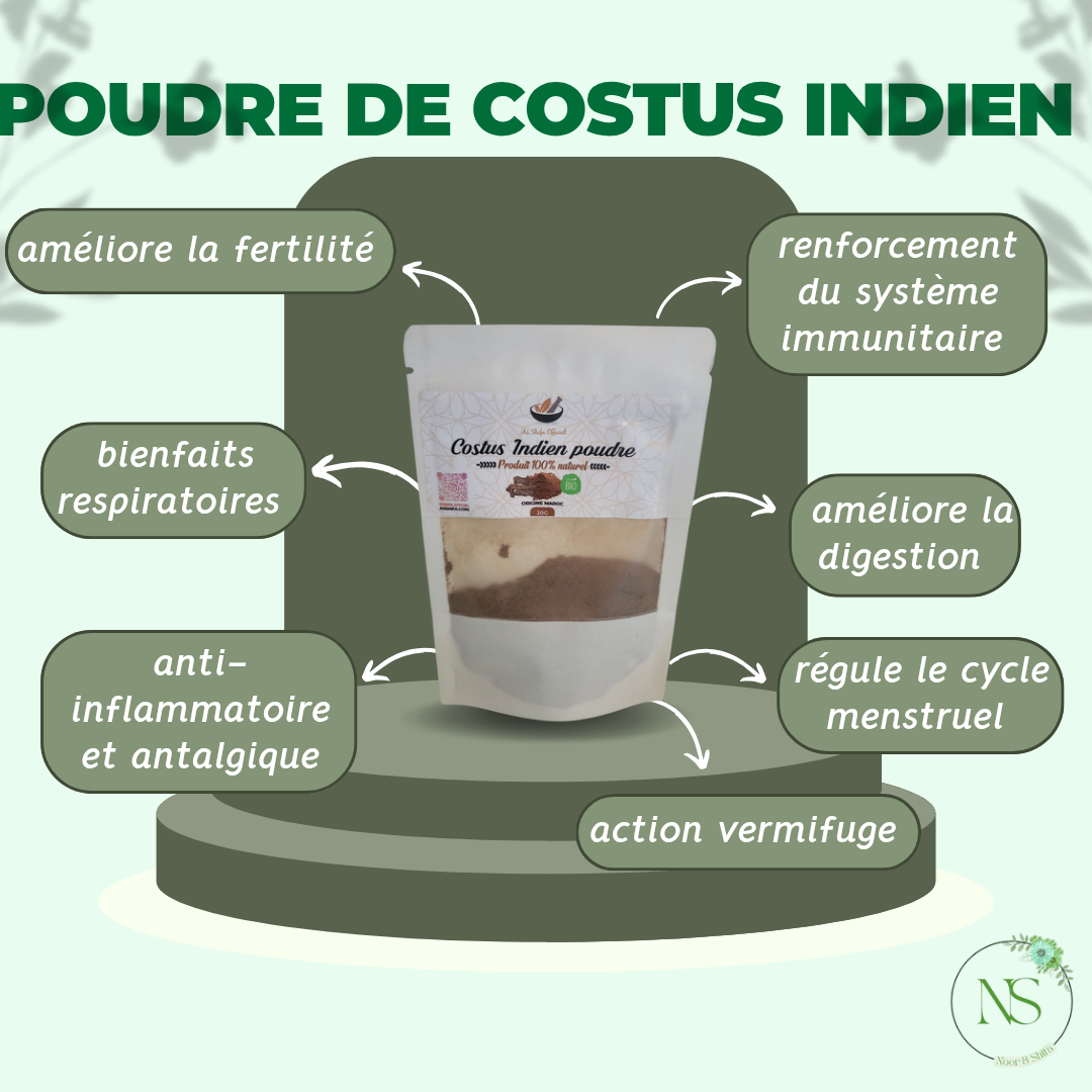 Costus indien